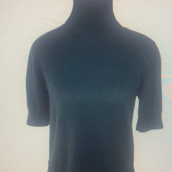 Everlane Women's Black Turtleneck
Short Sleeve Wool Cotton Sweater
XS/C33.25 - Picture 1 of 1